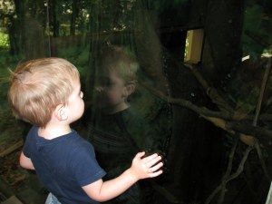 Brandon did enjoy the monkey house, once we showed him where the monkeys were hiding.